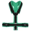 BUMER1000 GRÜNTÖNE Hundegeschirr, gepolstert, (Softshell), komplett konfigurierbar