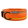 BUMER Hundehalsband, Steck-Halsband, gepolstert, Softshell, konfigurierbar