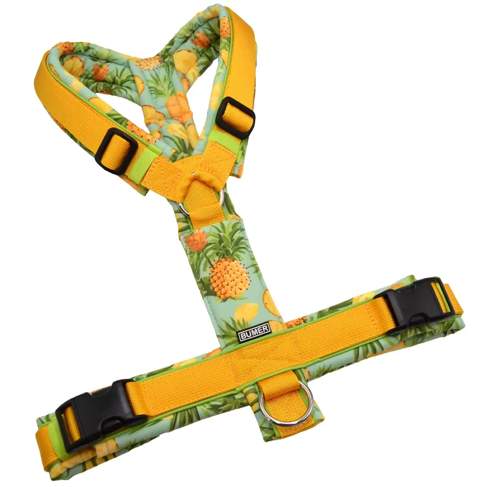 BUMER Hundegeschirr, gepolstert ohne geteilten Bruststeg, Größe L, Gurtband PREMIUM Sunburst Yellow, Softshell Piney Fresh, Ringe silberfarbig (Edelstahl), Schnallen schwarz (DURAFLEX®), Applikation