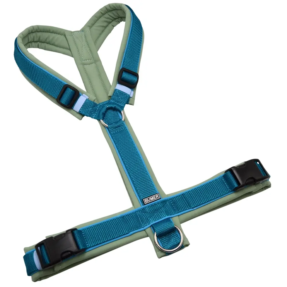 BUMER Hundegeschirr, gepolstert ohne geteilten Bruststeg, Größe XL, Gurtband PREMIUM X Petrol, Softshell Eukalyptus, Ringe silberfarbig (Edelstahl), Schnallen schwarz (DURAFLEX®)