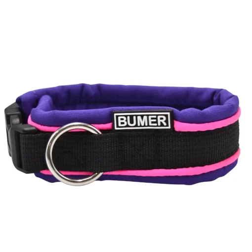 BUMER Steckhalsband, Hundehalsband für Hunde, gepolstert, Halsumfang 24cm, Gurtband PREMIUM Pitch Black, Softshell Lila Viola, Ringe silberfarbig (Edelstahl)