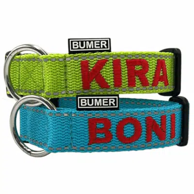 BUMER Steckhalsband, Gurtband REFLEX